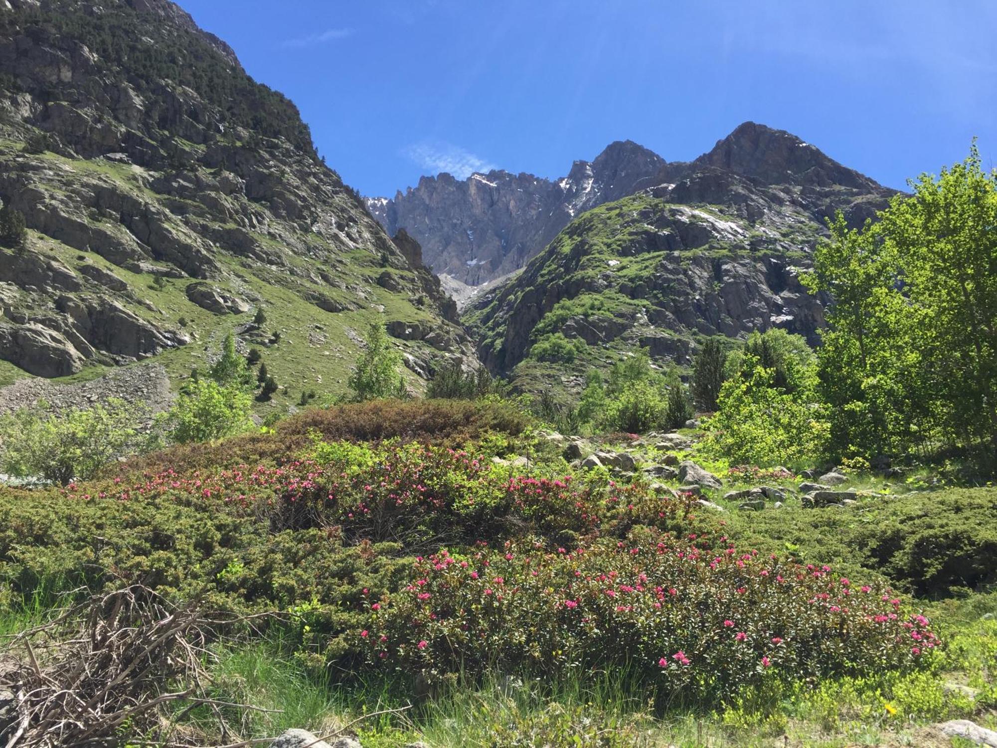 Pitu Chalet Vénosc