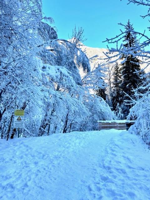 Chalet Pitu - 1-6 People *